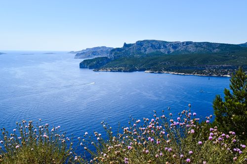 Free Breathtaking view of Provence's coastline with vibrant wildflowers in foreground. Stock Photo