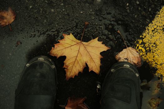 Capturing fallen leaves on wet pavement with boots in autumn ambiance