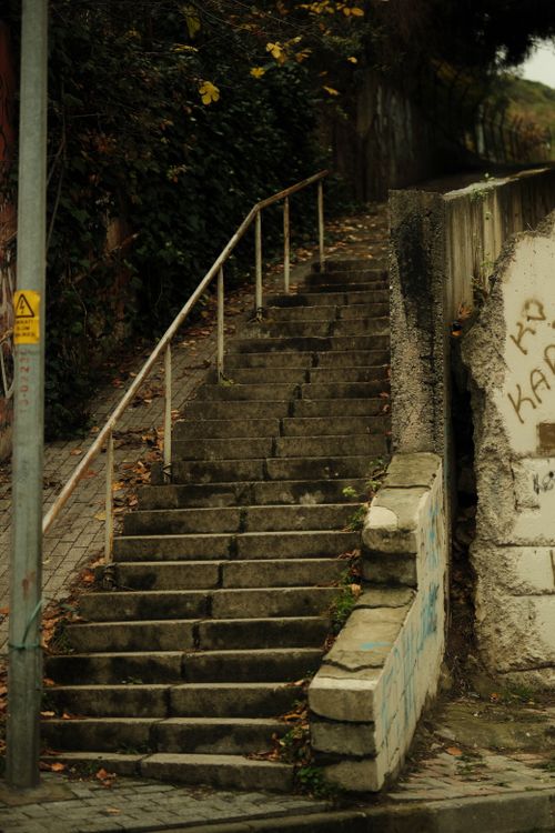 Free A rustic urban staircase covered with fallen autumn leaves and graffiti on the walls. Stock Photo