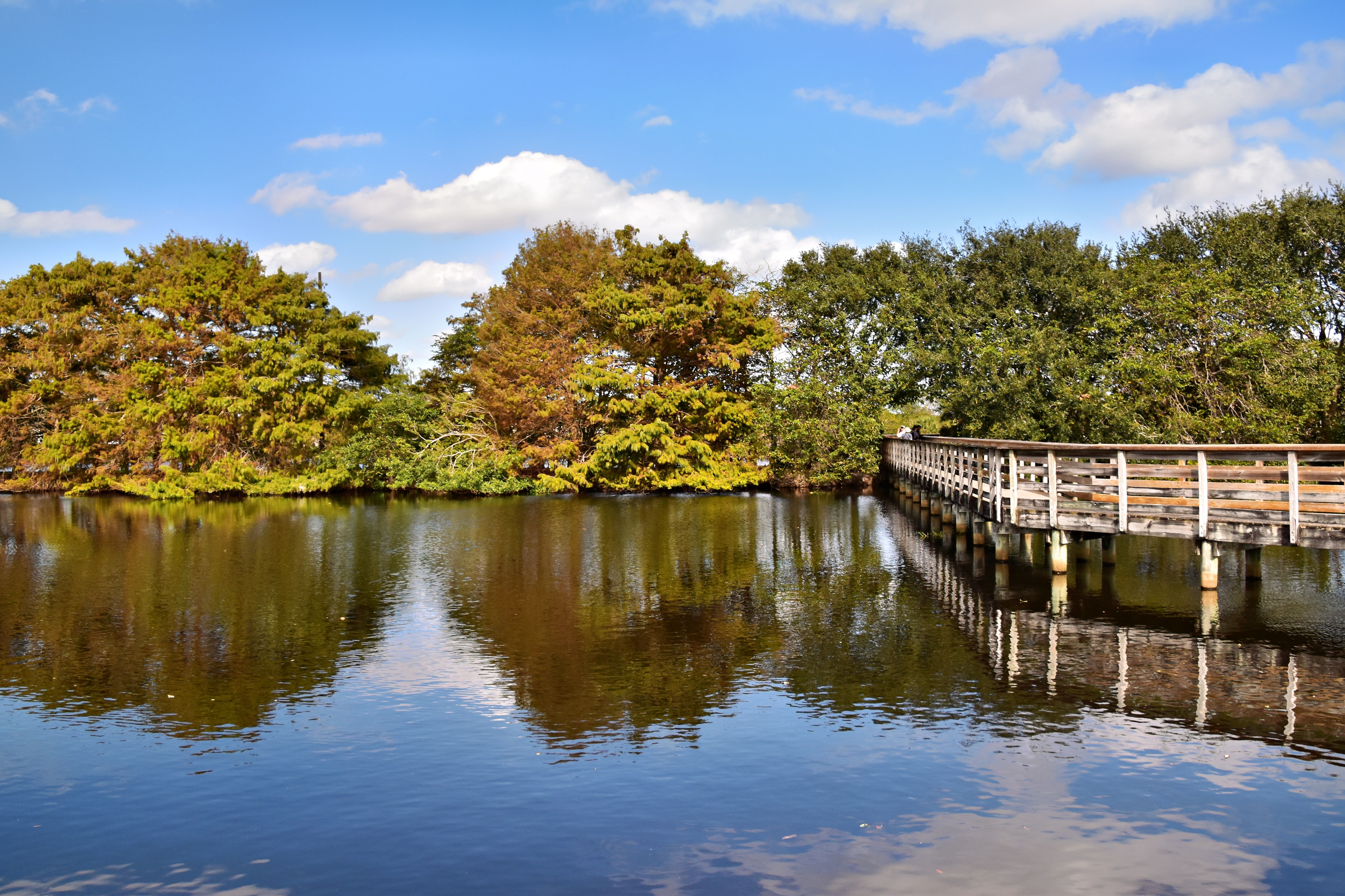 Nature Delivered Wellness Sanctuary 1