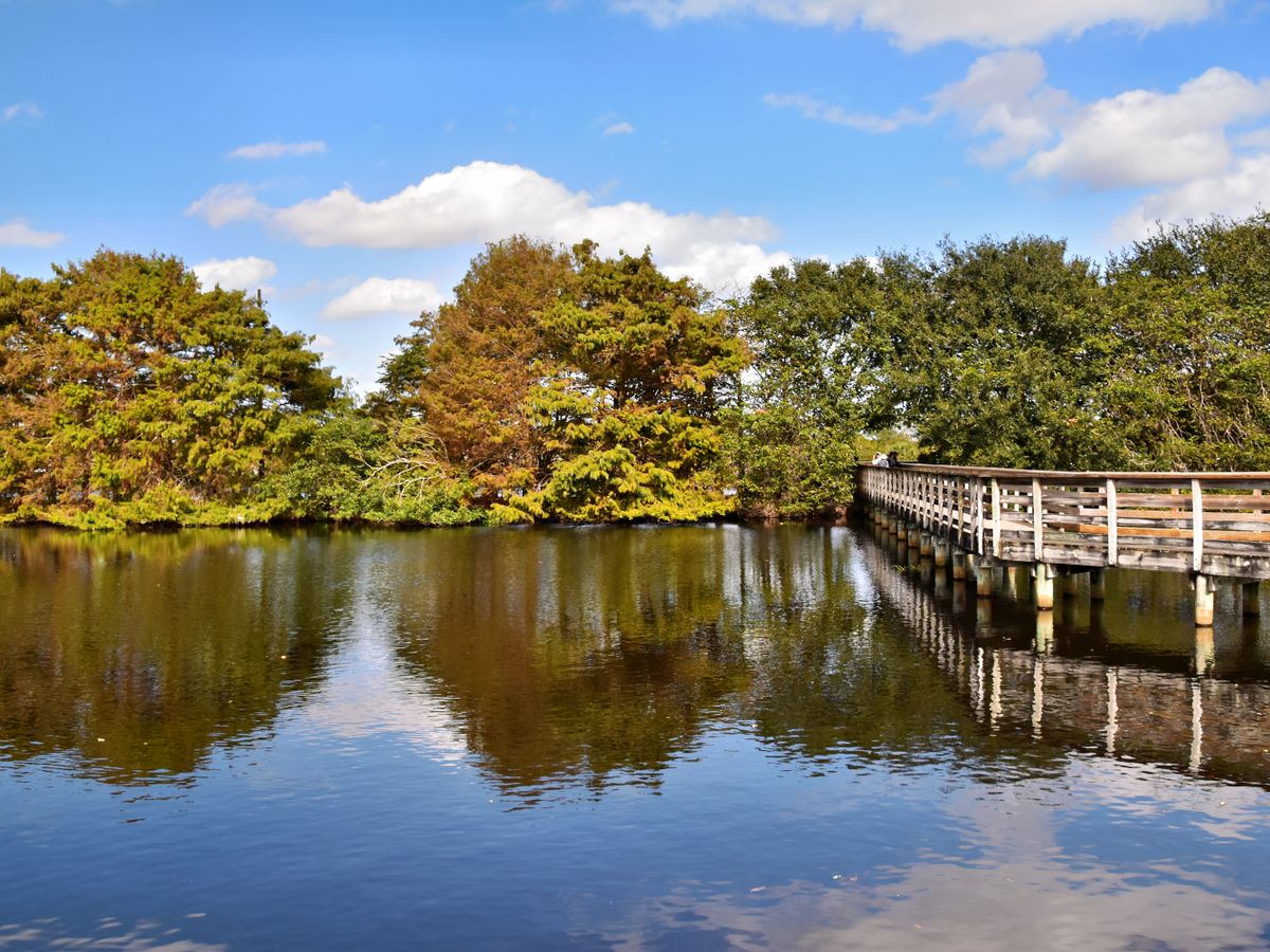 Nature Delivered Wellness Sanctuary 1