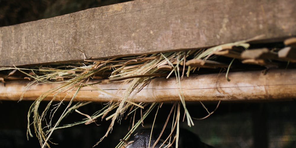 i999 - Bí Quyết Cá Cược Thành Công & Mẹo Chọn Kèo Hay