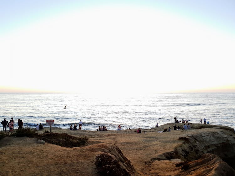 Aerial Photography Of Sunset Cliffs