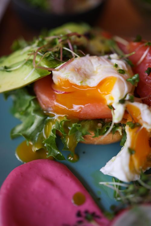Free Close-up of a vibrant salmon, avocado, and poached egg toast on a blue plate. Stock Photo