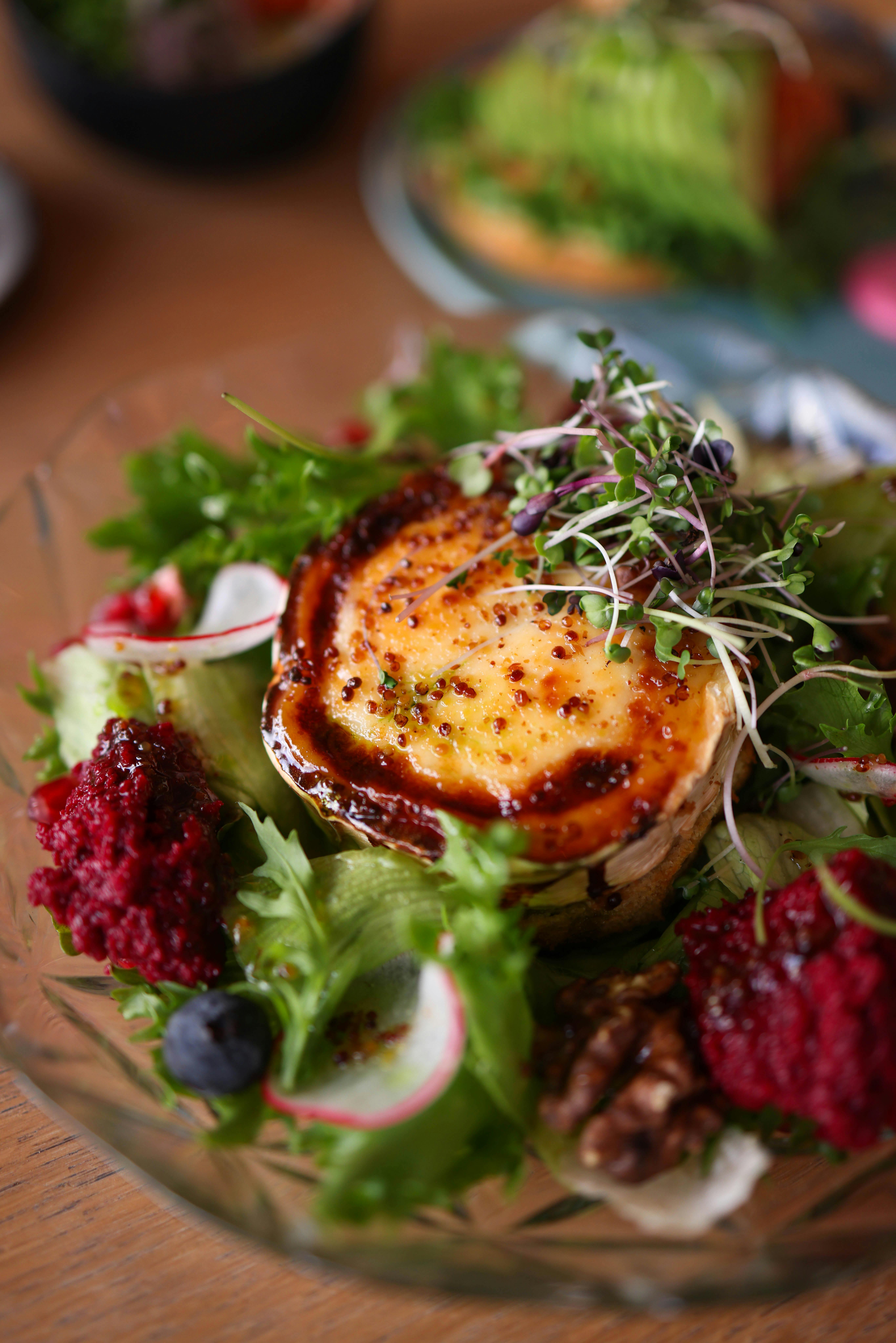 Microgreens under LED grow lights