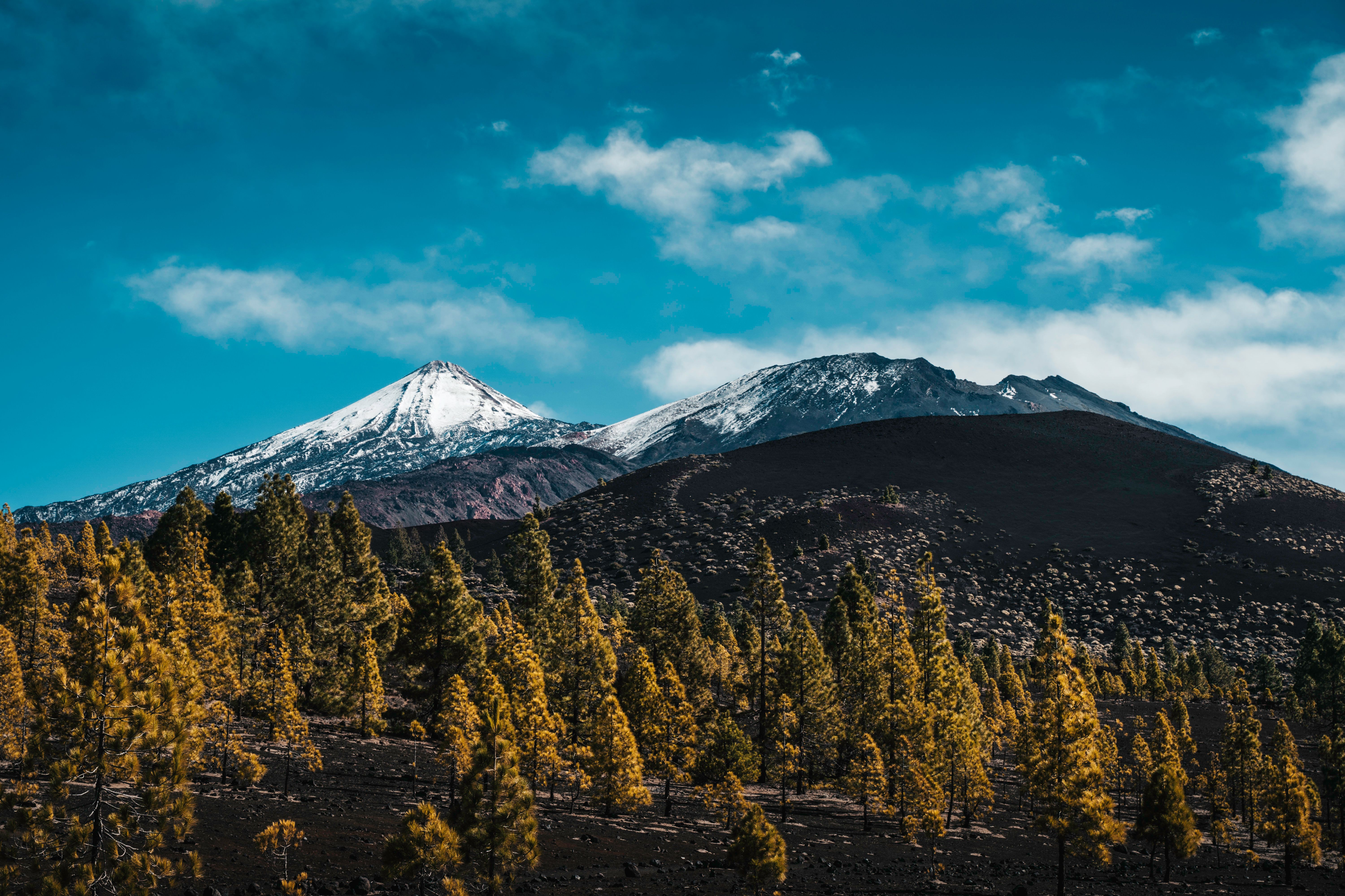 ¡Locura total! Vuelos desde Tenerife a Madrid por solo 45€