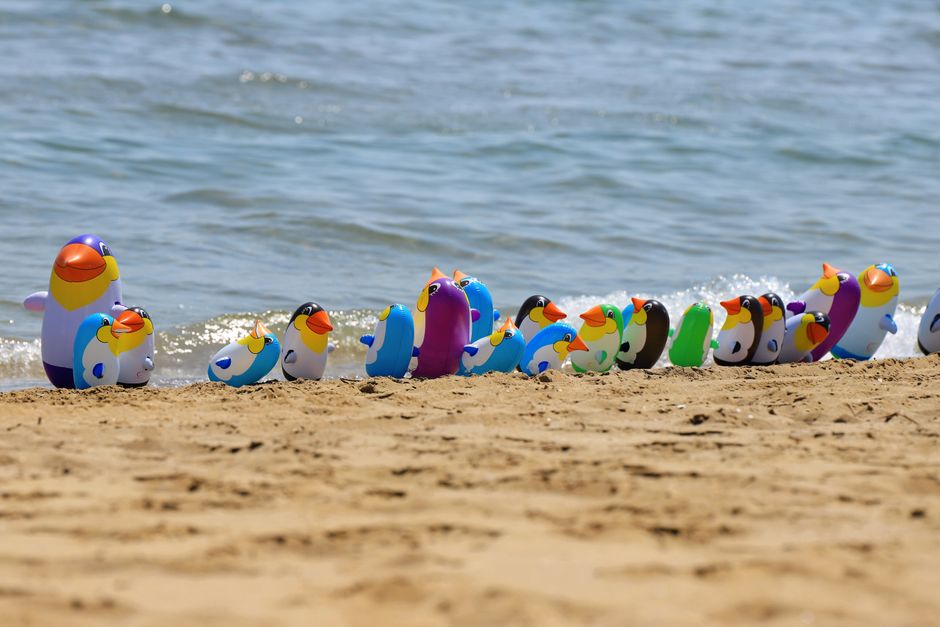 Vibrant toy penguins lined up on a sandy Venetian beach against a calm sea.