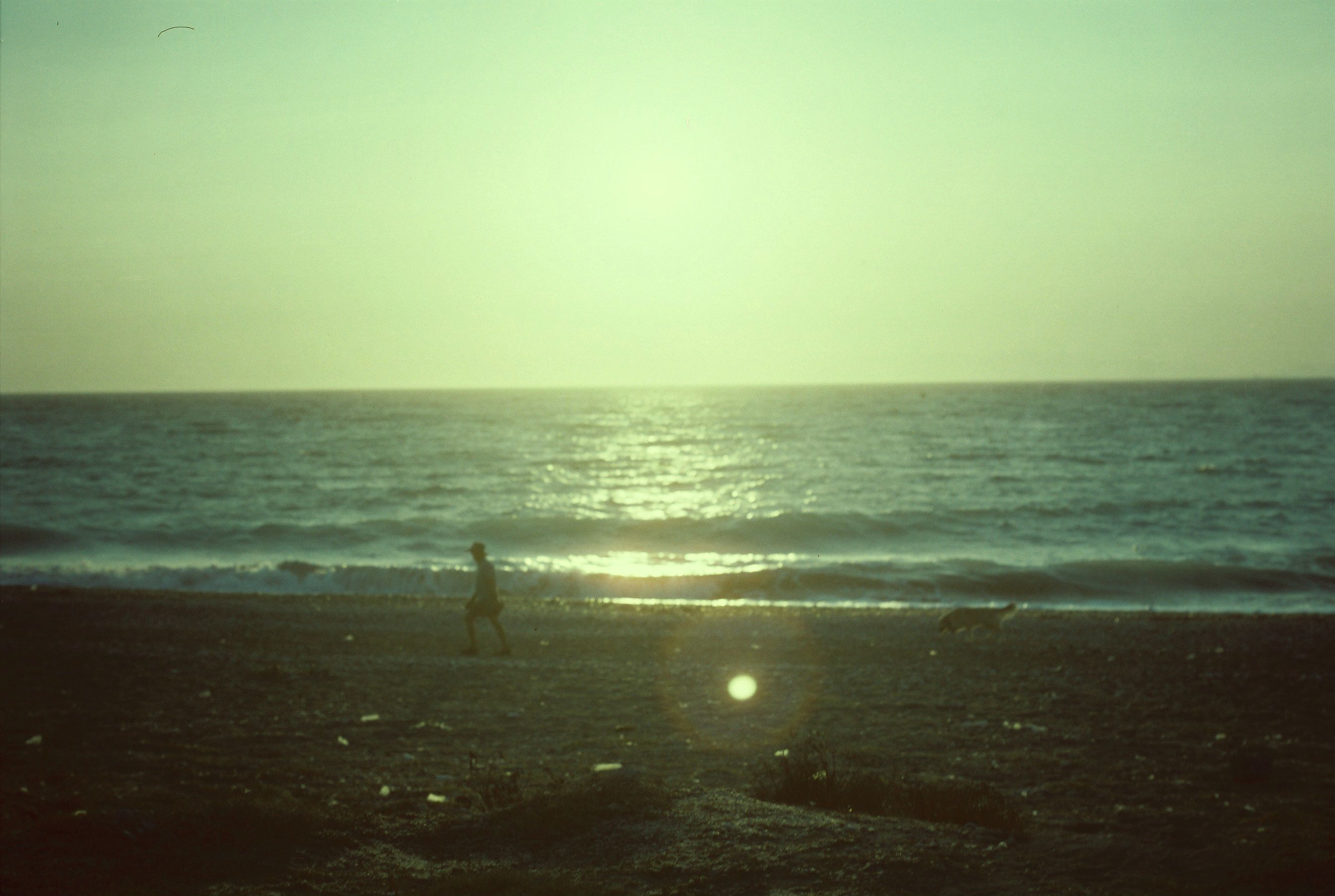 Silhouette by the Ocean at Sunset · Free Stock Photo
