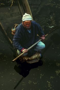 An elderly man paddles a wooden boat across a still, reflective lake, creating a serene and contemplative scene. 29847570