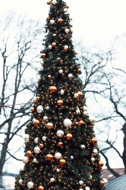 Free Festive Christmas tree adorned with lights and ornaments in Jönköping, Sweden. Stock Photo