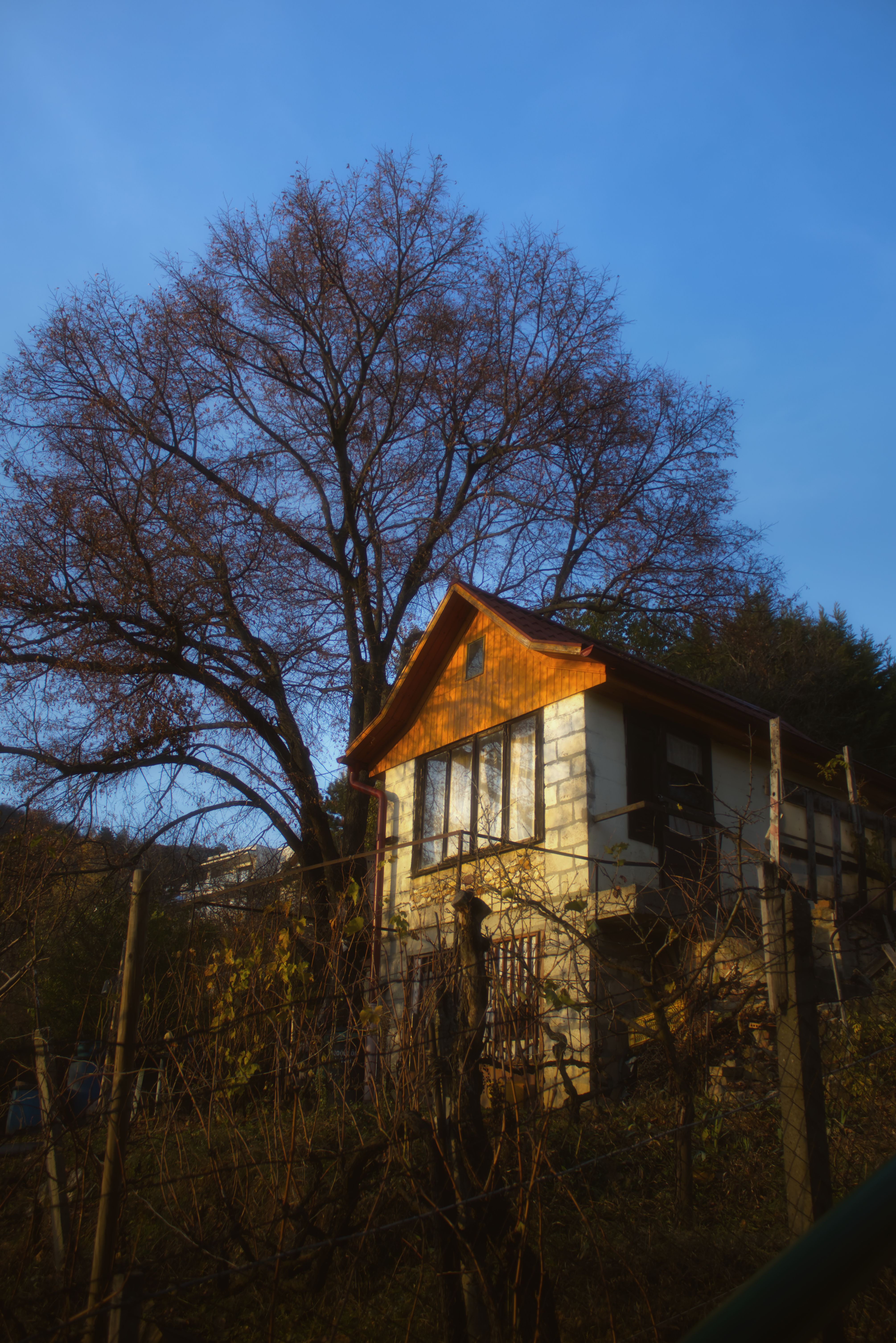 Charming Rustic House Against Blue Sky · Free Stock Photo