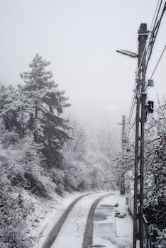 A serene snowy road winds through a misty winter forest, creating a tranquil scene.