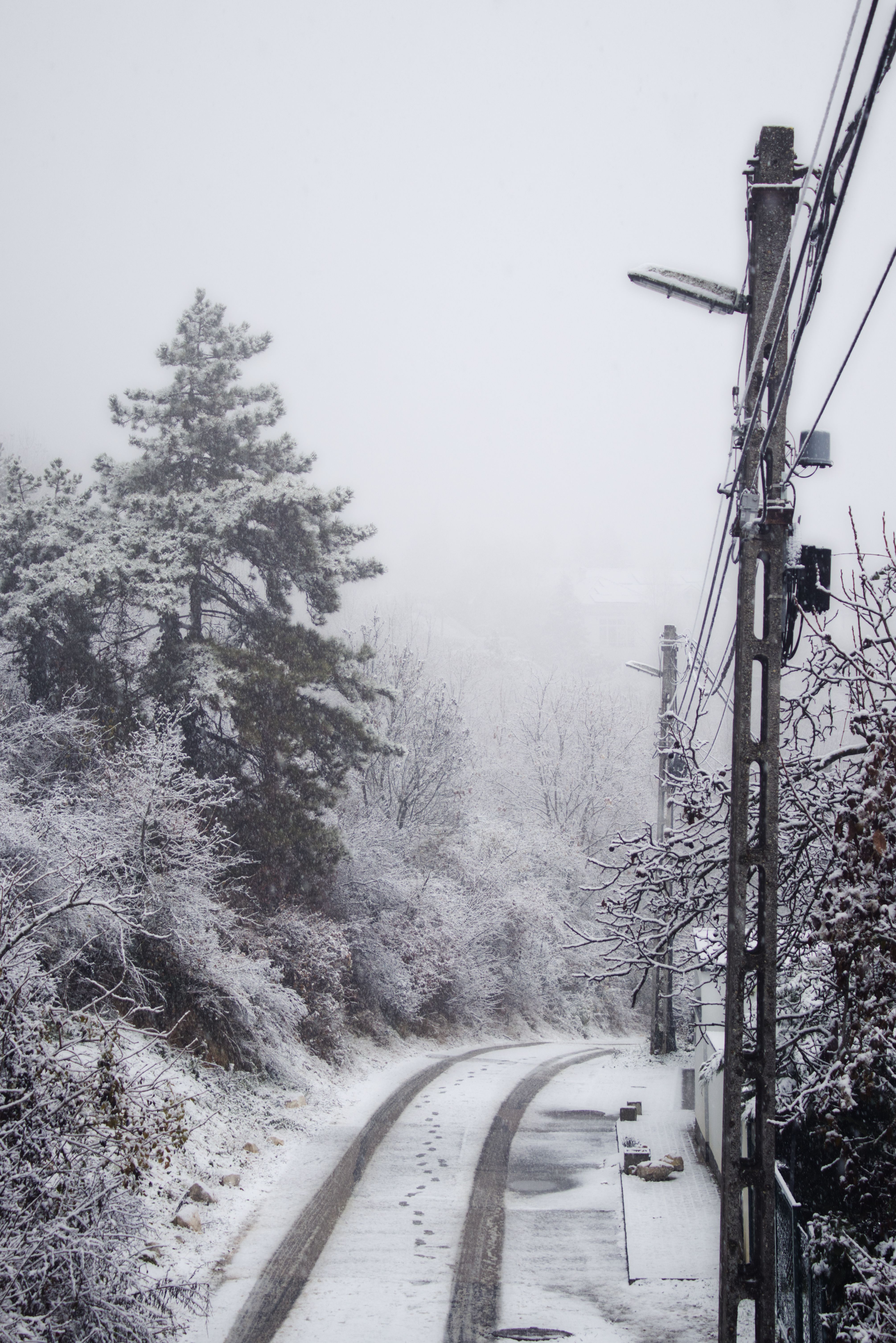 Snowy Road Through Winter Forest Landscape · Free Stock Photo