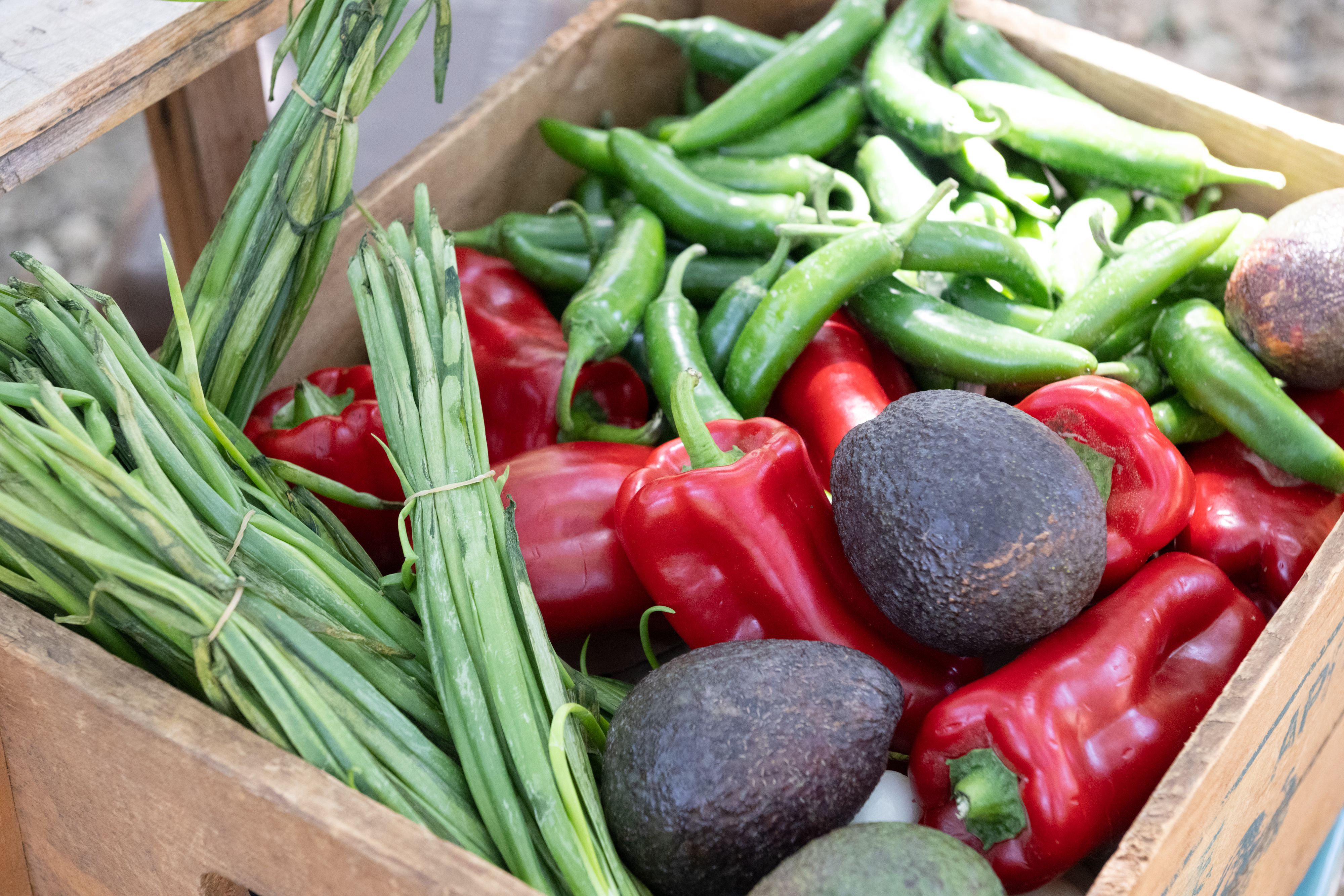 Verduras frescas para sopa