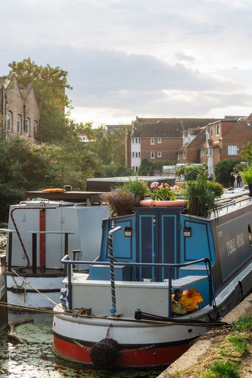 Free Houseboats adorned with plants on a serene London canal, showcasing urban tranquility. Stock Photo