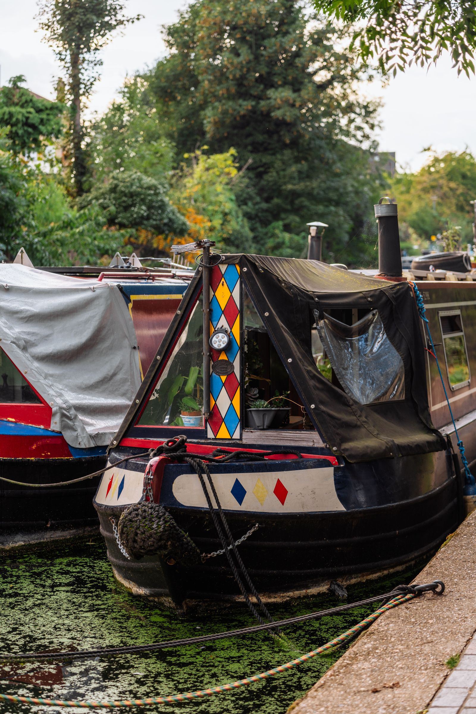 Colourful narrowboats moored along a tranquil London canal