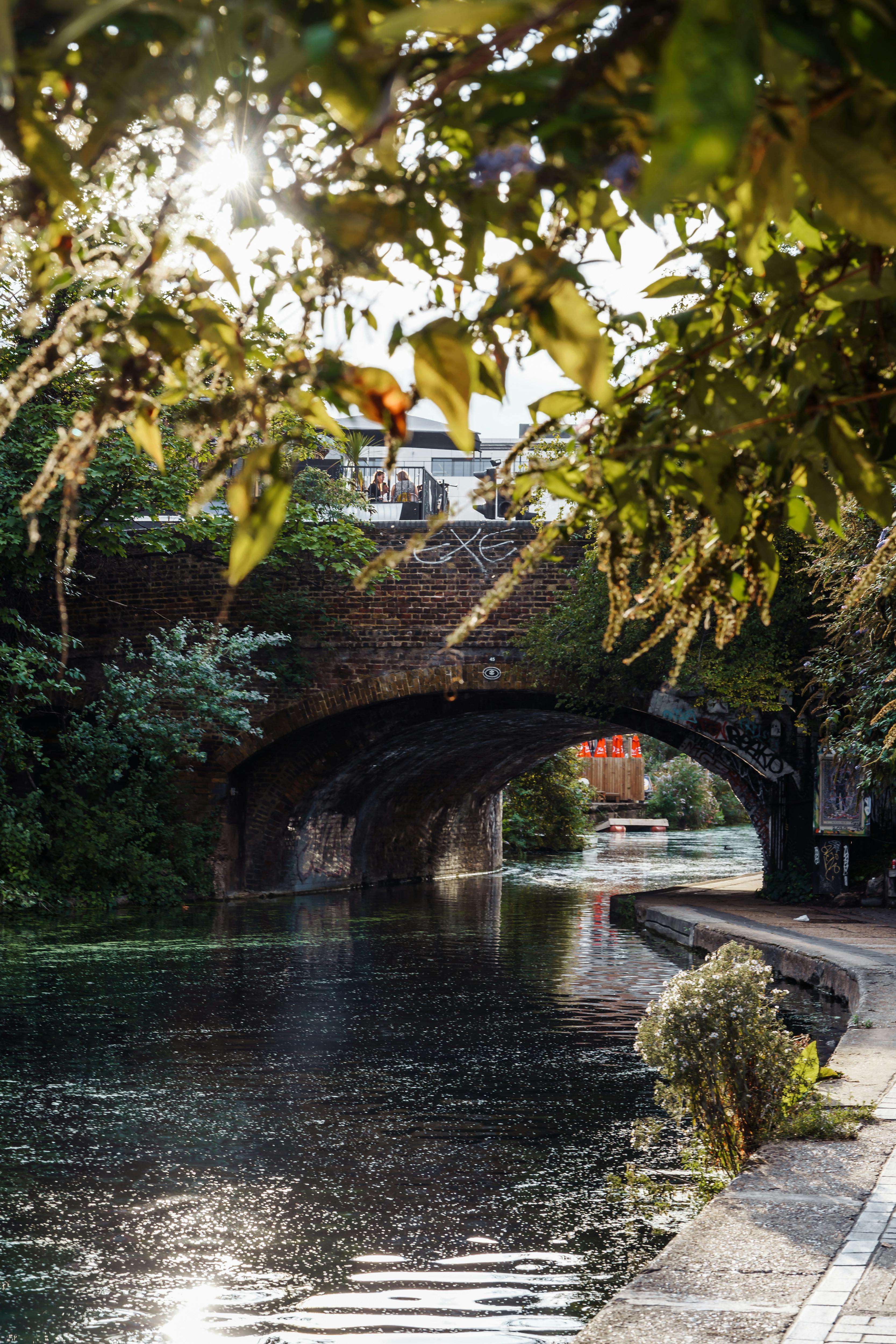 Gratuit Canal fermecător din Londra cu pod îmbrăcat cu iederă și reflexe senine. Fotografie de stoc