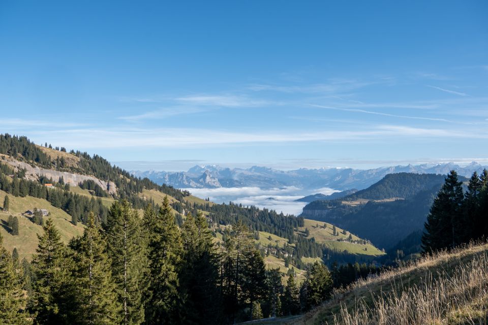 Kulm