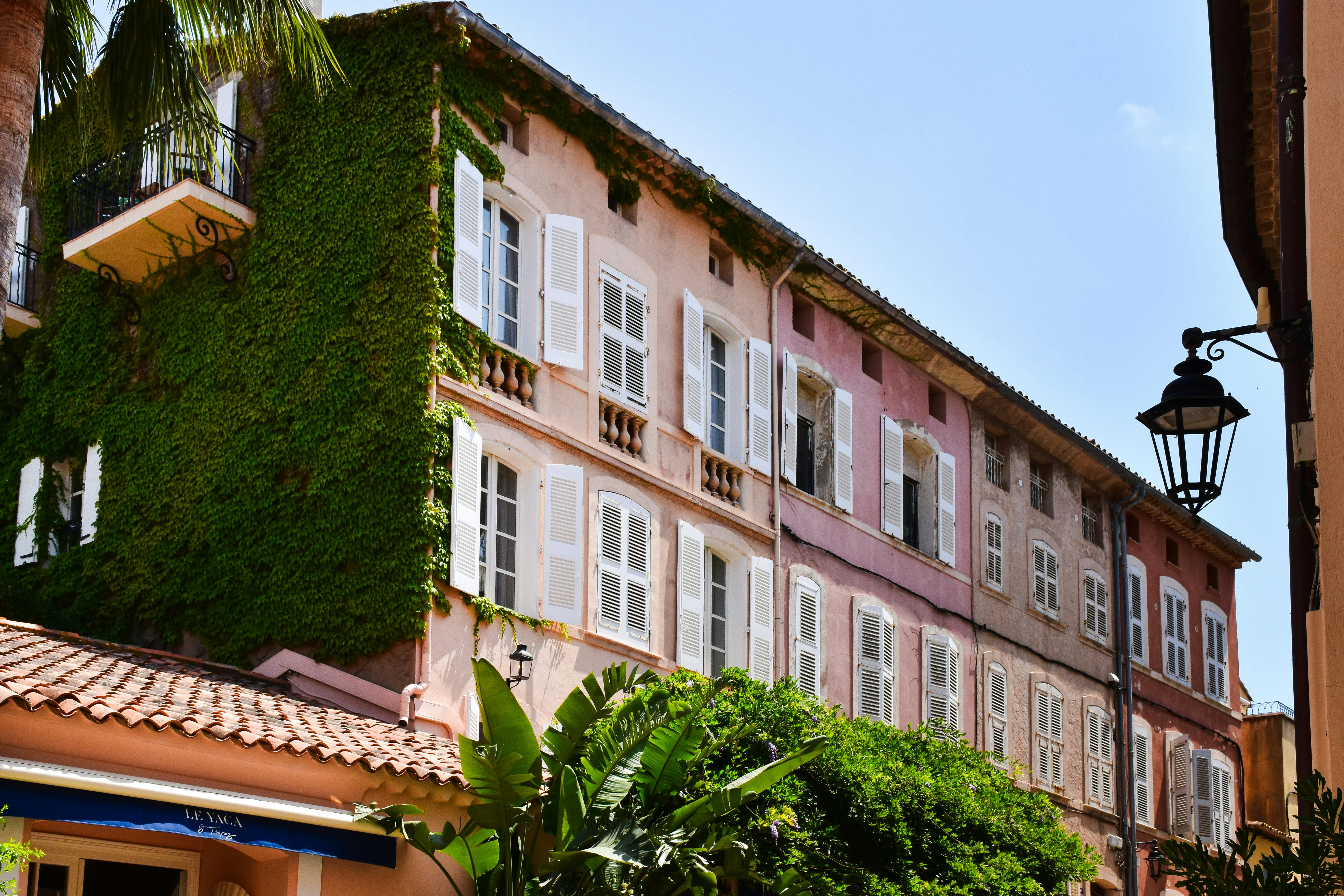 Ivy-clad building with colorful facade in sunny Provence-Alpes-Côte d'Azur, France.