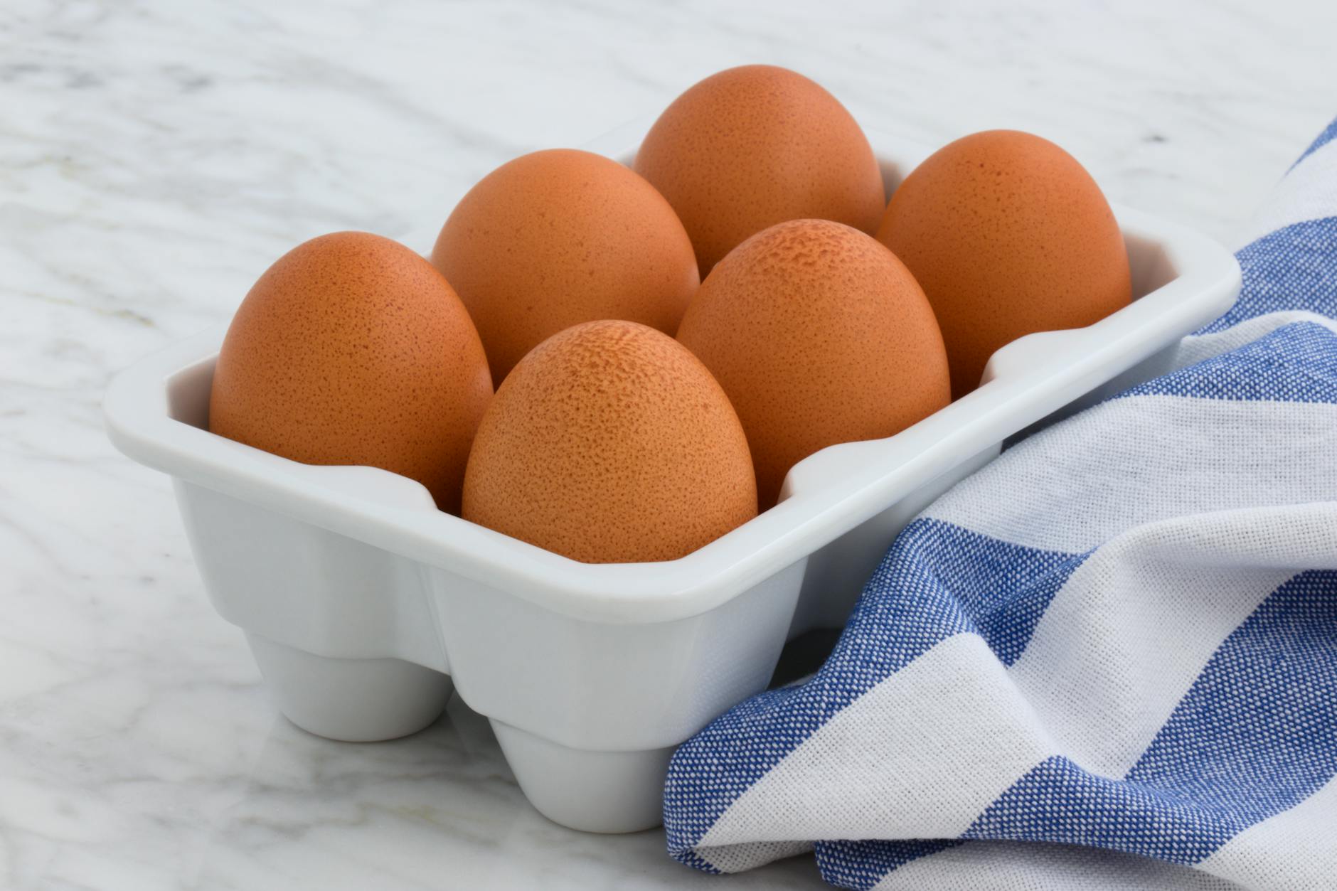 eggs photograph for this story