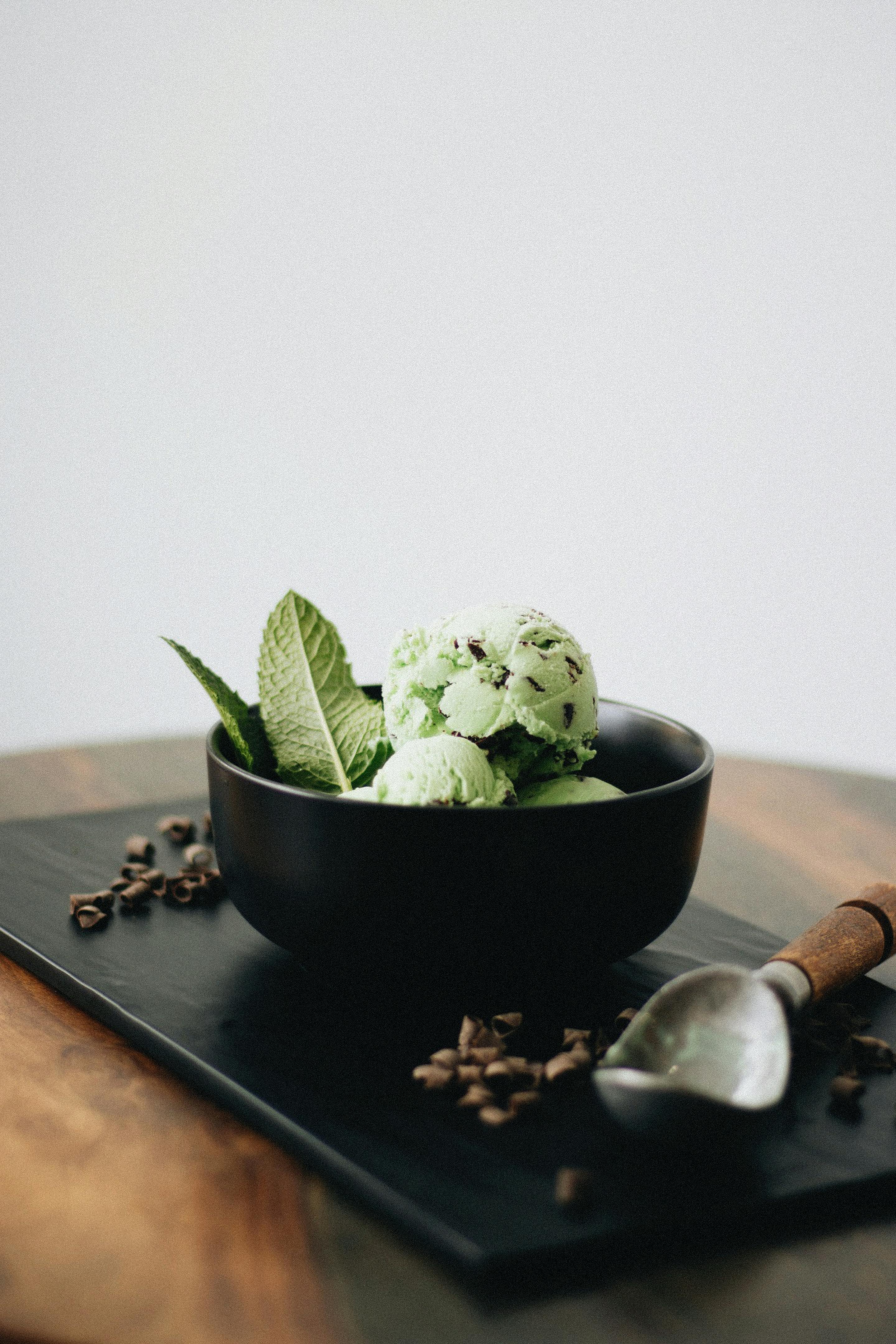 Elegant presentation of mint chocolate chip ice cream with fresh mint leaves.
