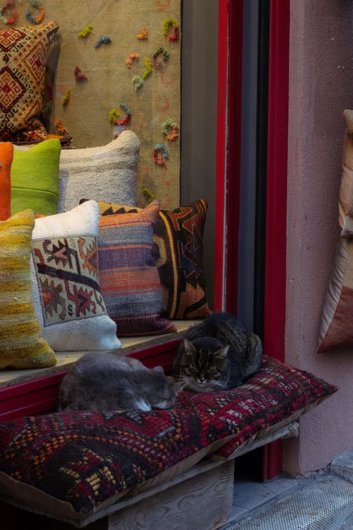 Free Two cats rest on a vibrant cushion display outside a shop window. Stock Photo