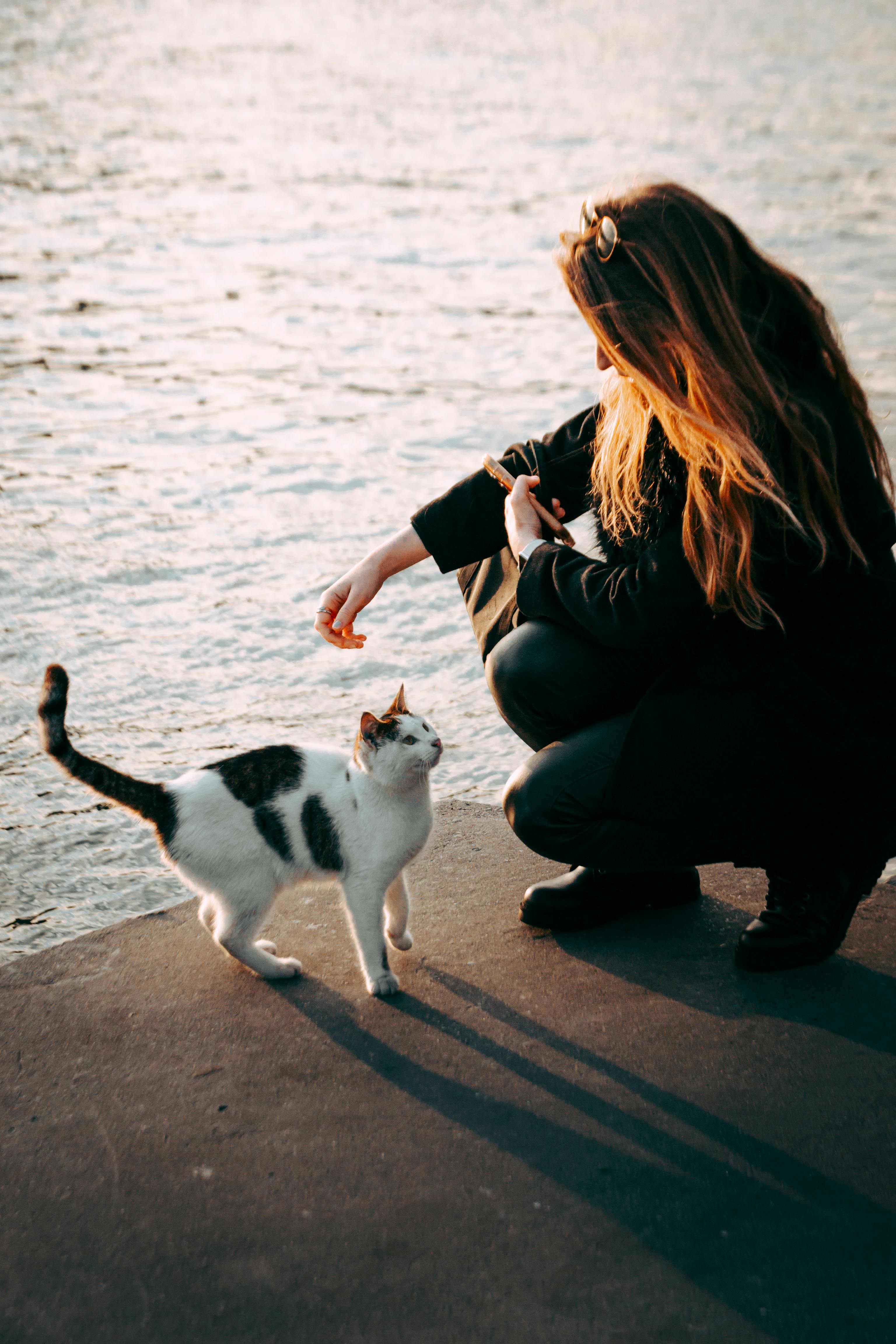 A woman crouched by a cat at the seaside during sunset, creating a warm, serene atmosphere.