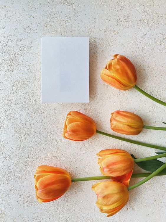 Civil Ceremony invitation tulip-card