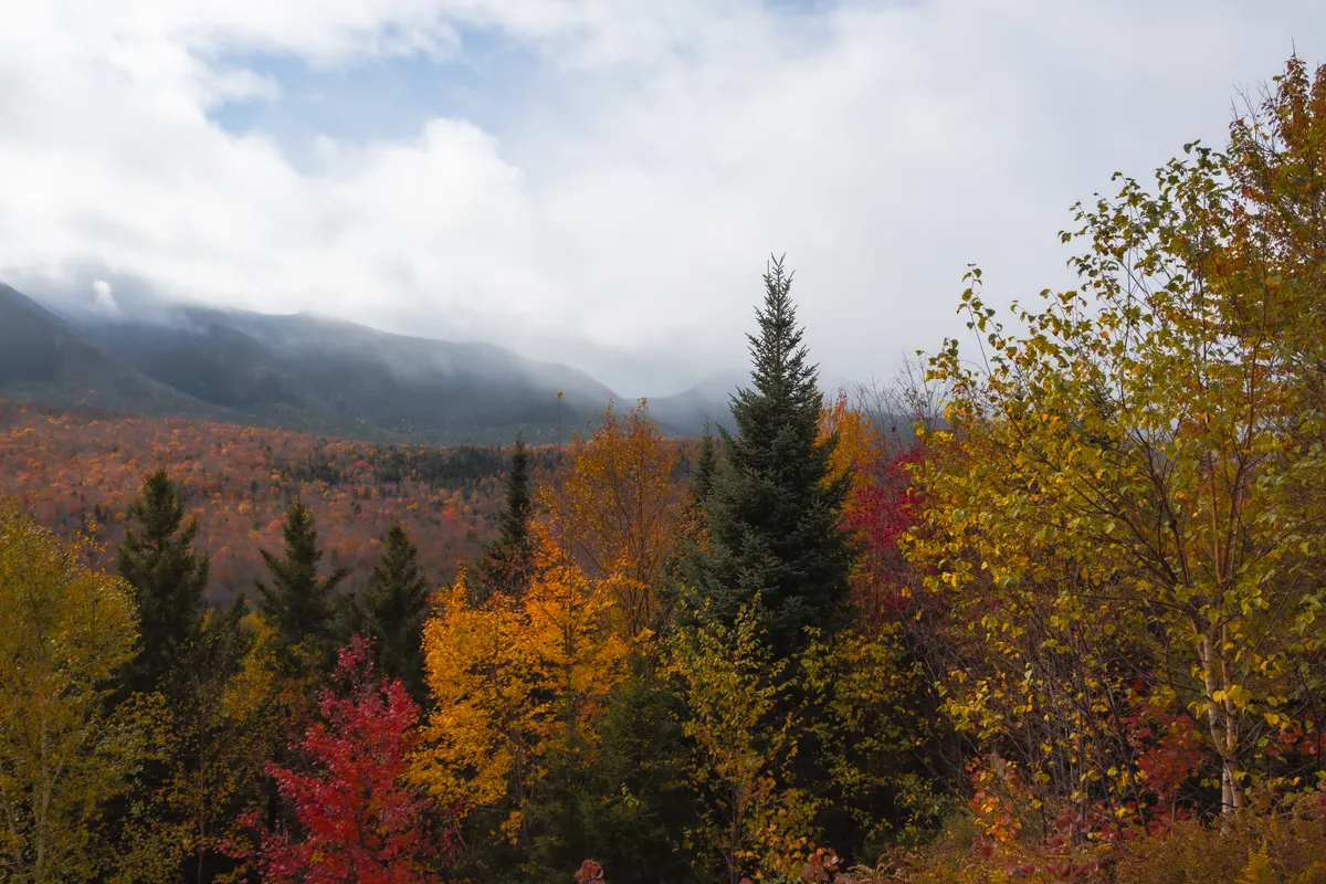 Peak fall foliage over a New England village and white church steeple