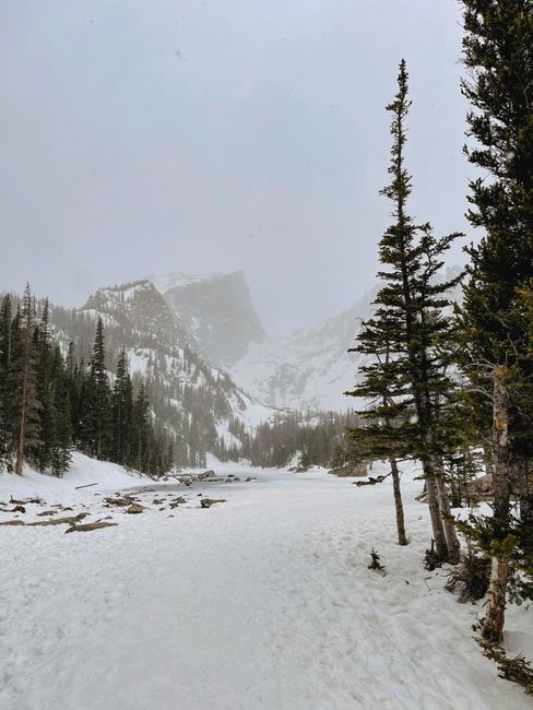 Ranger-led snowshoe walks, Rocky Mountain National Park, USA