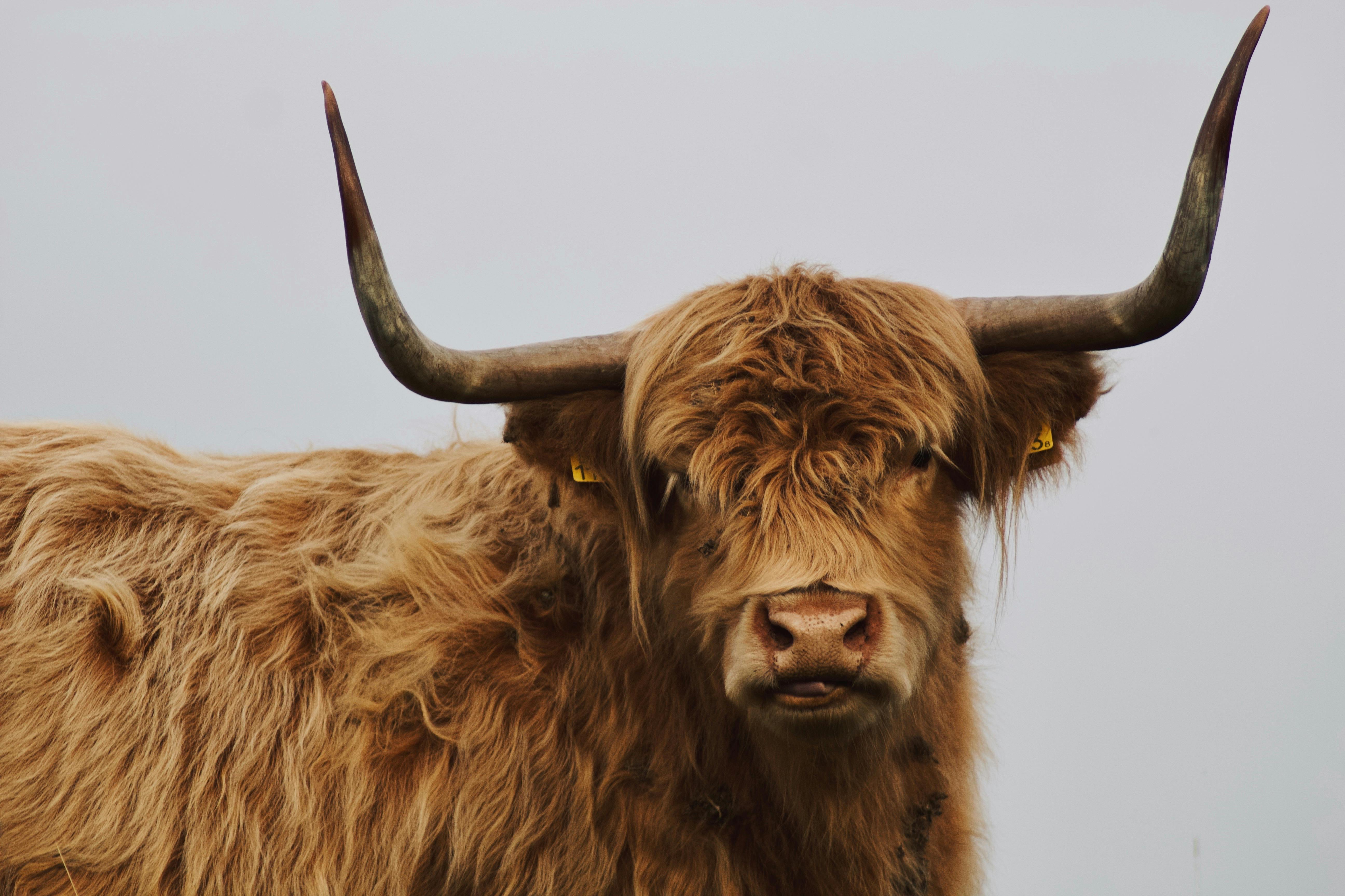 Gratuit Traité Avec Vsco Avec Préréglage Hb2 Photos