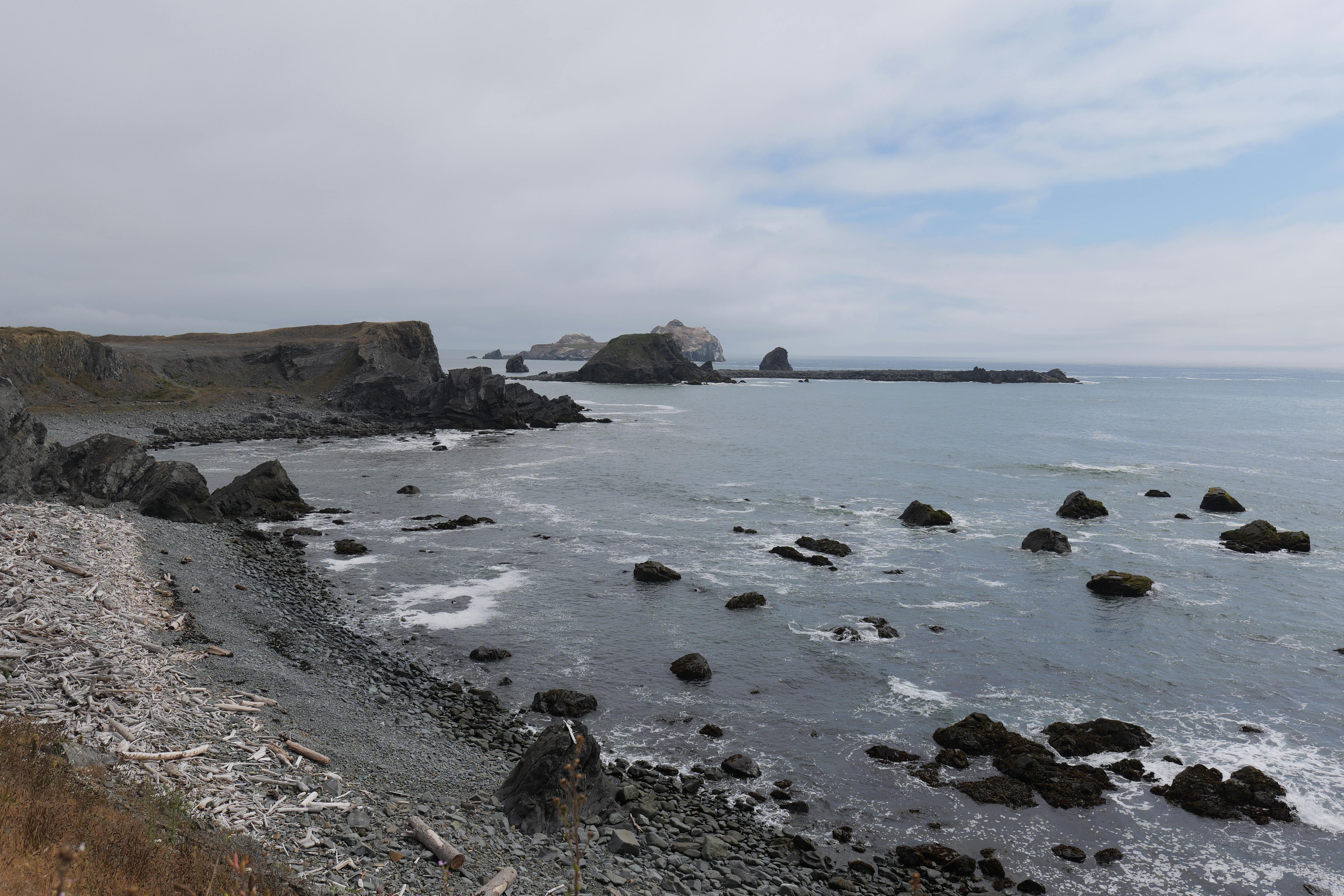 A serene rocky coastline with driftwood under a cloudy sky.