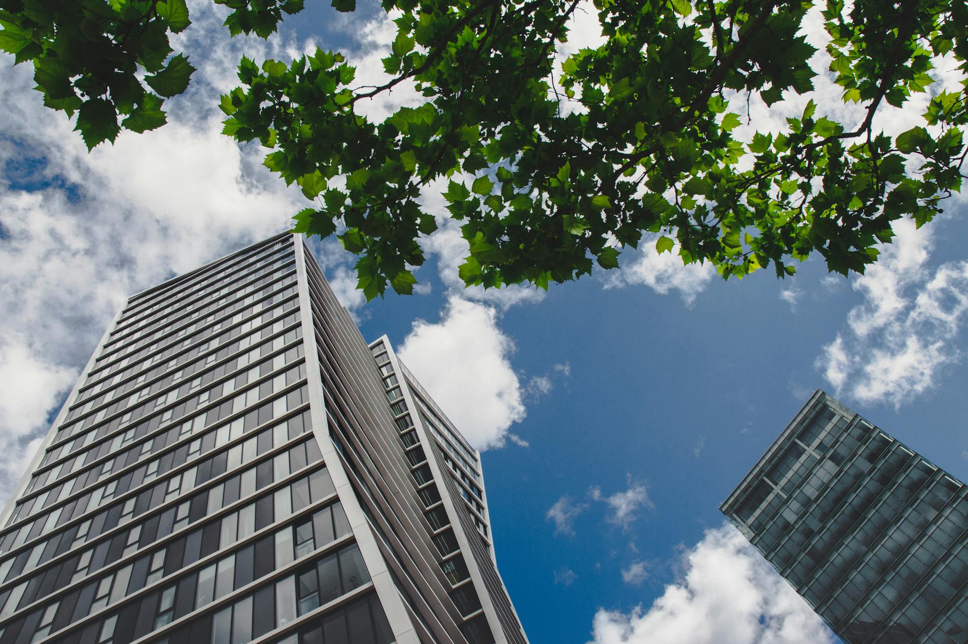 Tree & Skyscraper 2 - Luxembourg