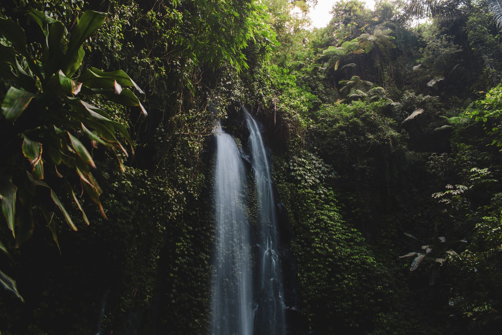 Springleaf Waterfall Waterfall Surrounded With Green Leaf Plant View · Free Stock Photo