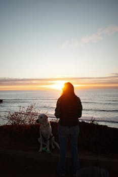 A serene moment by the ocean as a person and dog enjoy the sunset in San Diego, California.