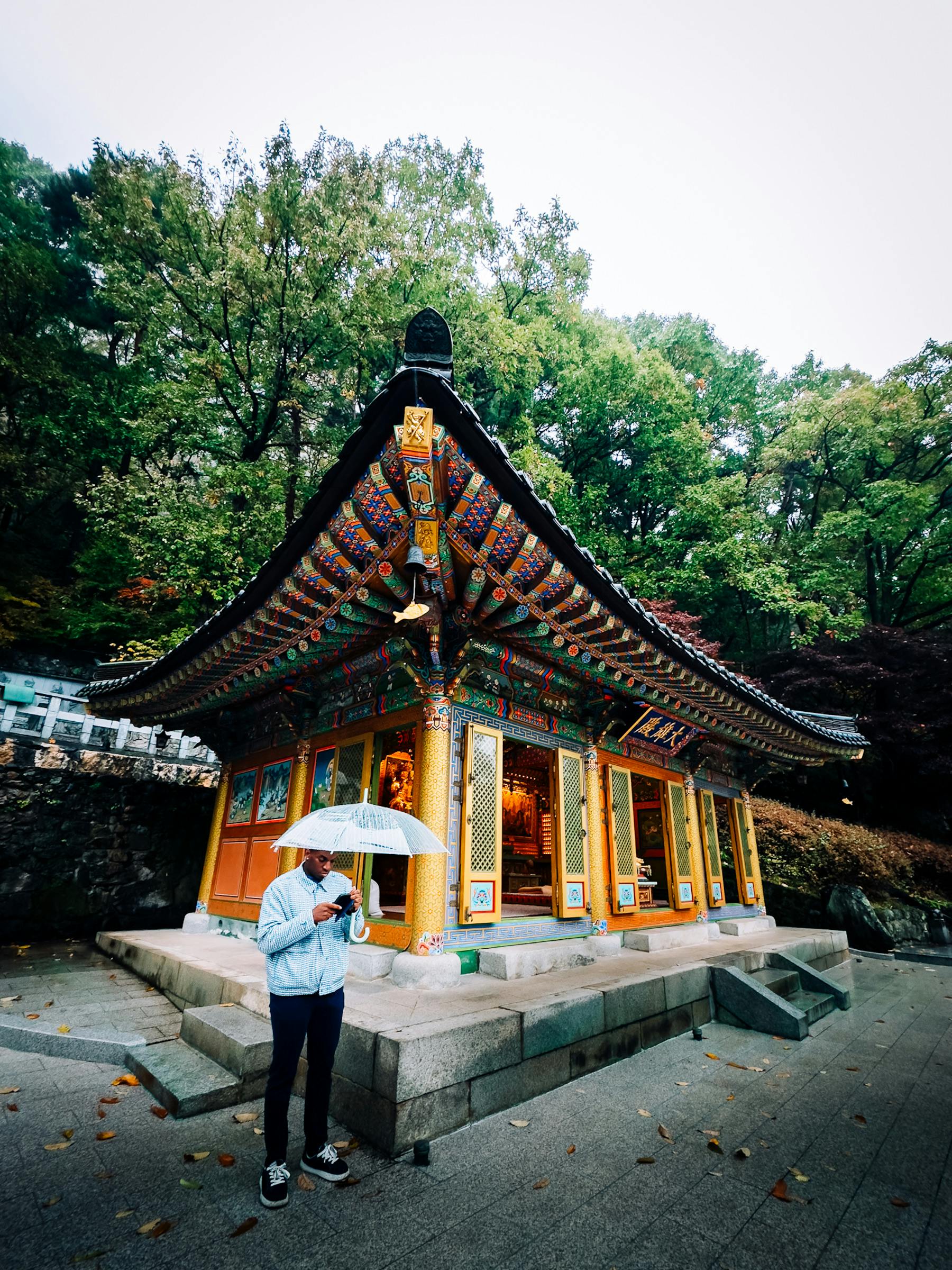 가을 단풍 속 한국 전통 사찰 풍경과 템플스테이 분위기