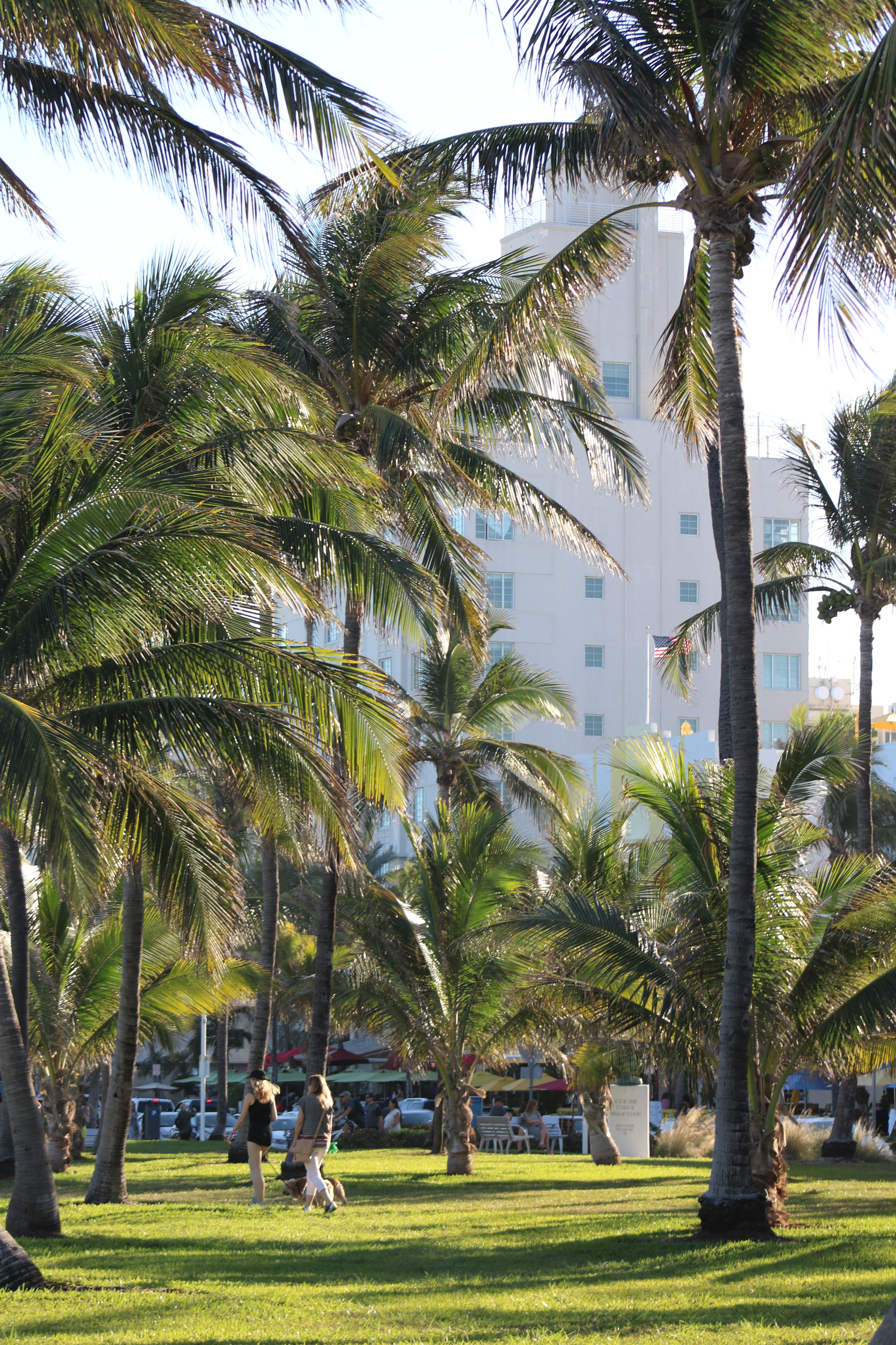 ¡Descubre la bahía de Miami: vuelos directos + alojamiento a partir de 845€