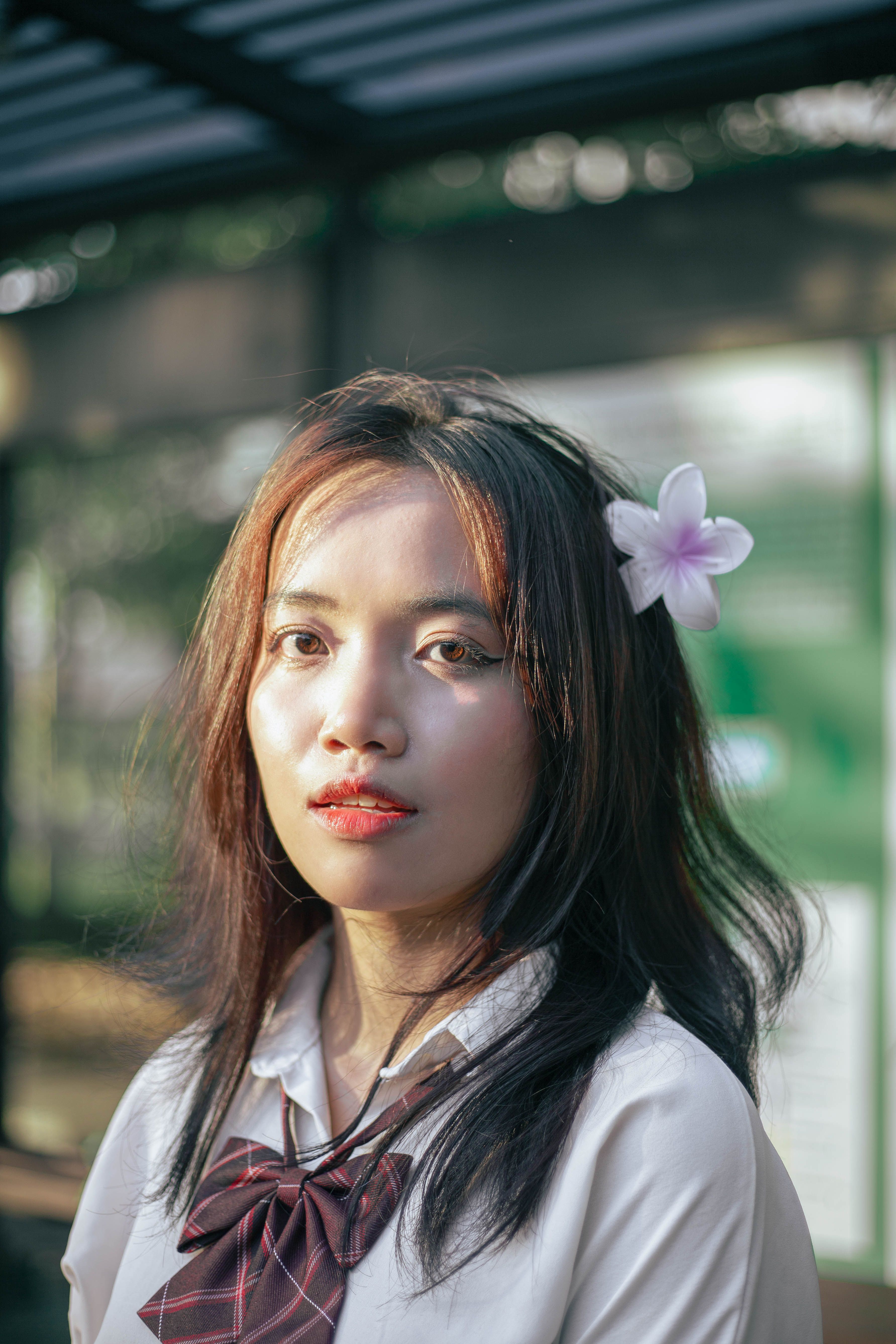 Portrait of Woman with Flower in Hair · Free Stock Photo