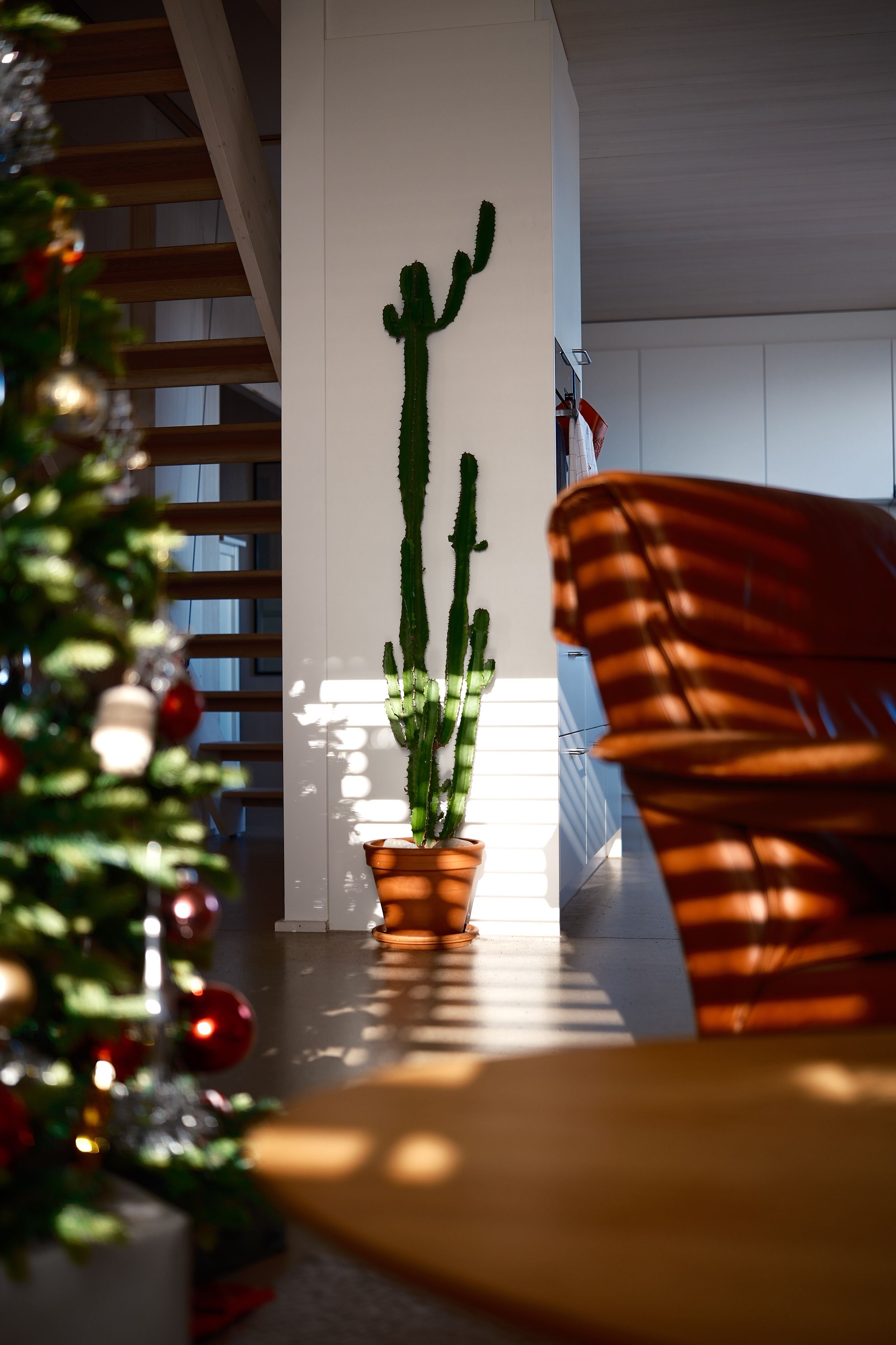 Fotomural Elegante sala de estar moderna con un árbol de Navidad y un cactus alto, bañada por luz natural.