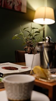 Warm and inviting cafe scene featuring indoor plants, stylish decor, and ambient lighting in Istanbul.