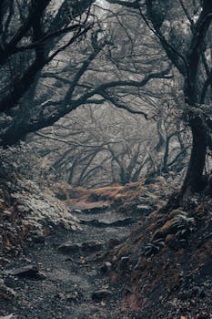Mysterious forest pathway enveloped in mist, showcasing eerie twisting trees.