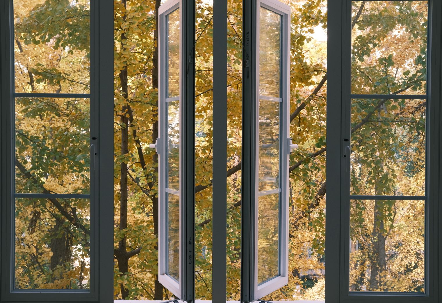 Exterior Painting in Osidge — woodwork brushed to a crisp, smooth line