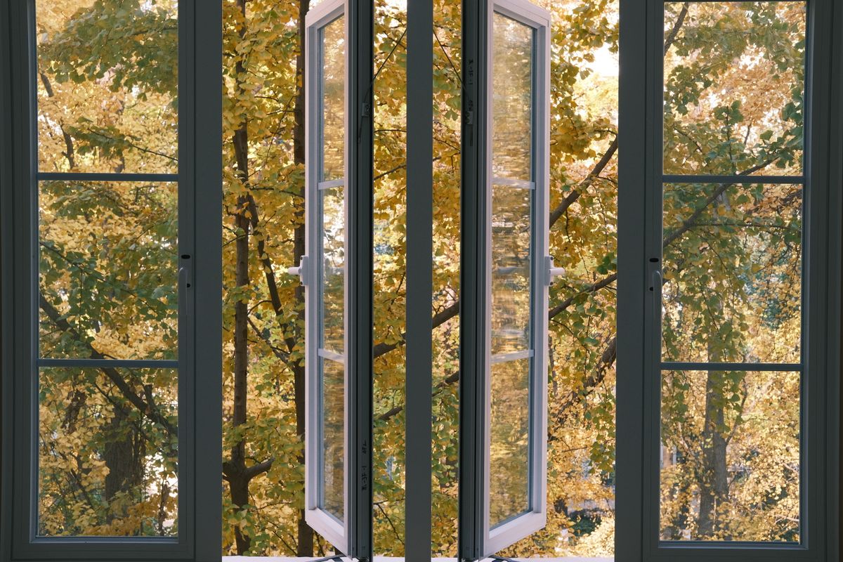 Geöffnetes Fenster mit Blick auf herbstliche Bäume, Thema Lüften und Insektenschutz trotz Lüftungsanlage