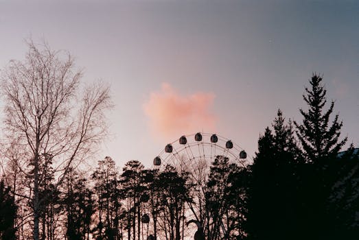 A tranquil sunset behind a silhouetted ferris wheel and trees, creating a serene landscape.