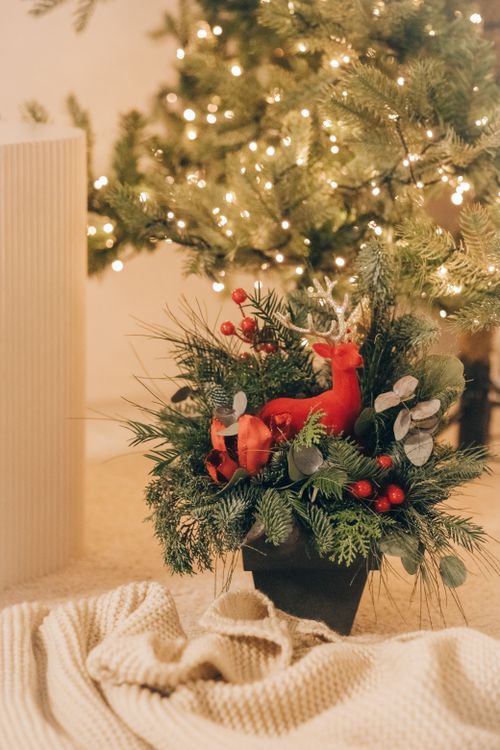 Free Elegant Christmas centerpiece featuring a red reindeer surrounded by green foliage and holiday decor. Stock Photo