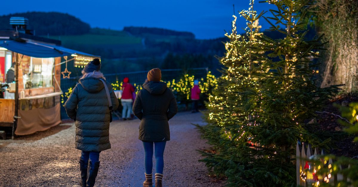Comment Créer un Marché de Noël en Famille dans Votre Jardin