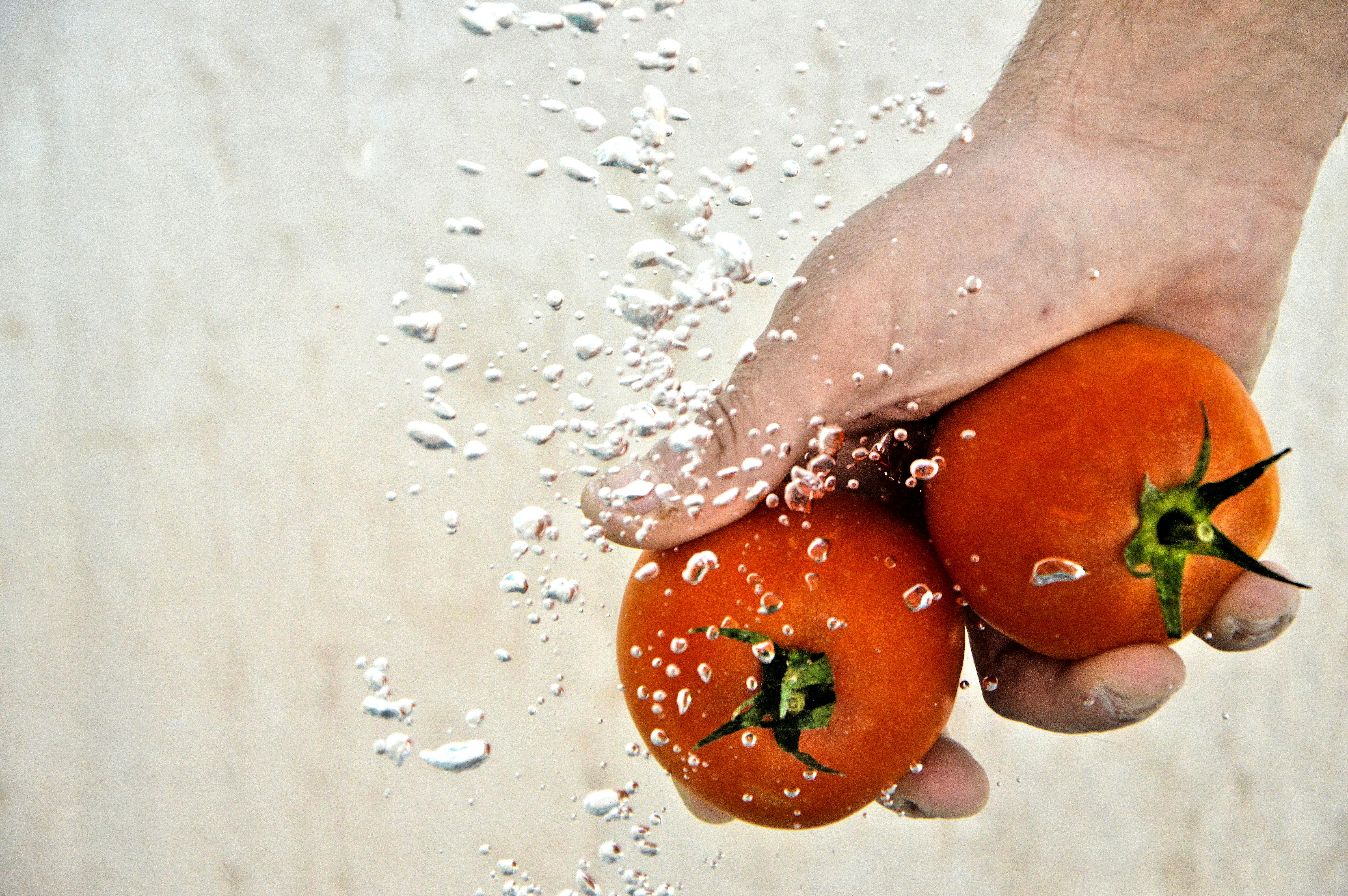 Rotten Tomatoes: Movies | TV Shows | Movie Trailers | Reviews — Photo by Moussa Idrissi on Pexels