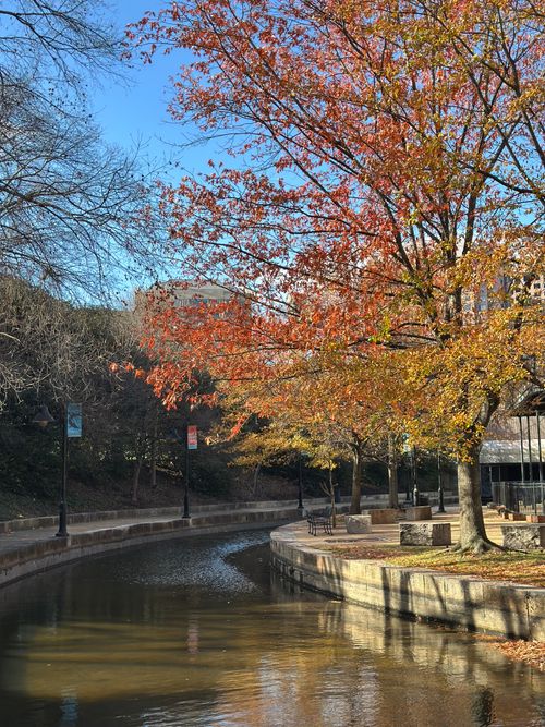 Free Serene canal lined with colorful autumn trees under a clear blue sky. Stock Photo