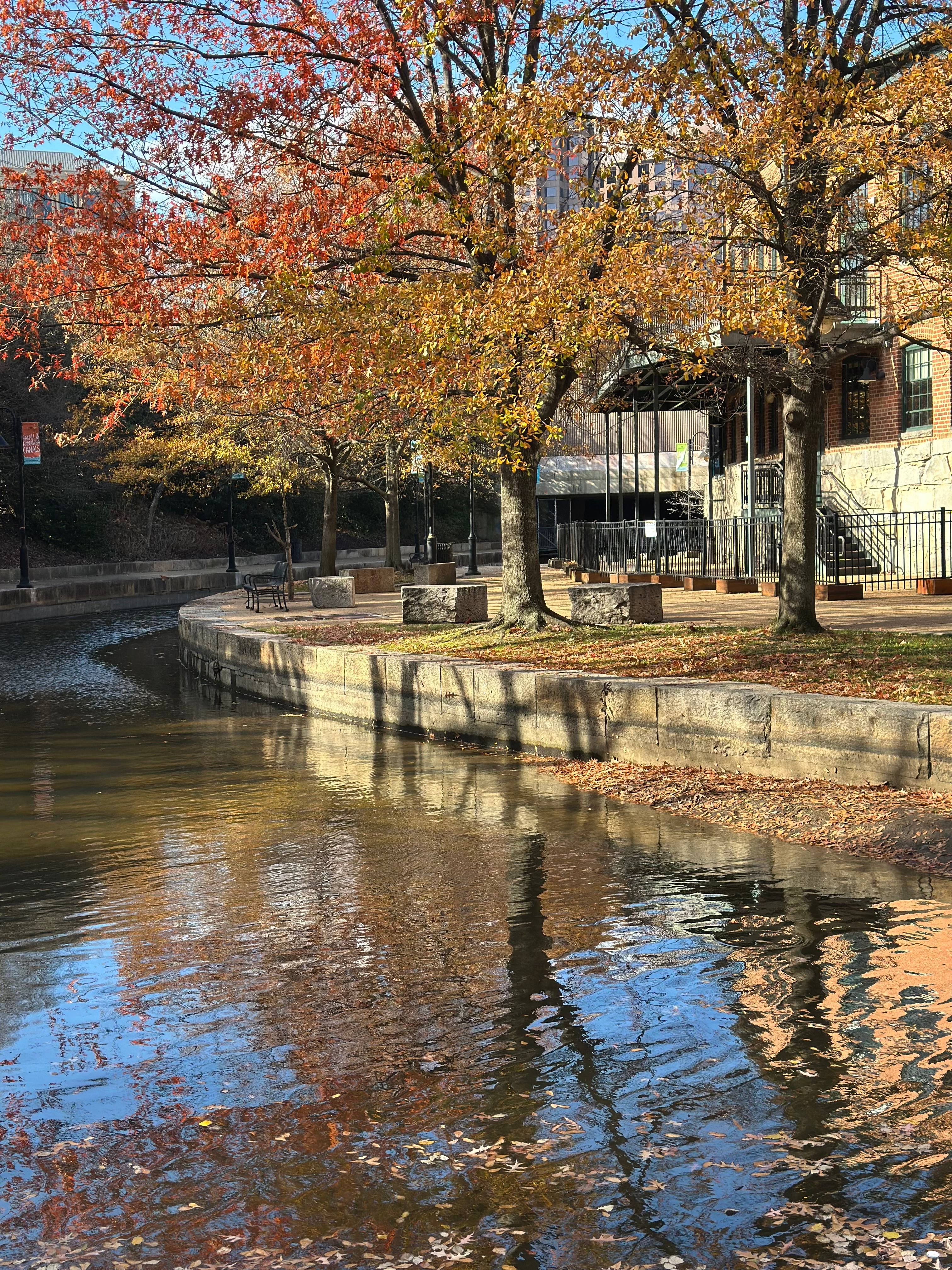 Peaceful Autumn Park Scene with Reflective Pond · Free Stock Photo