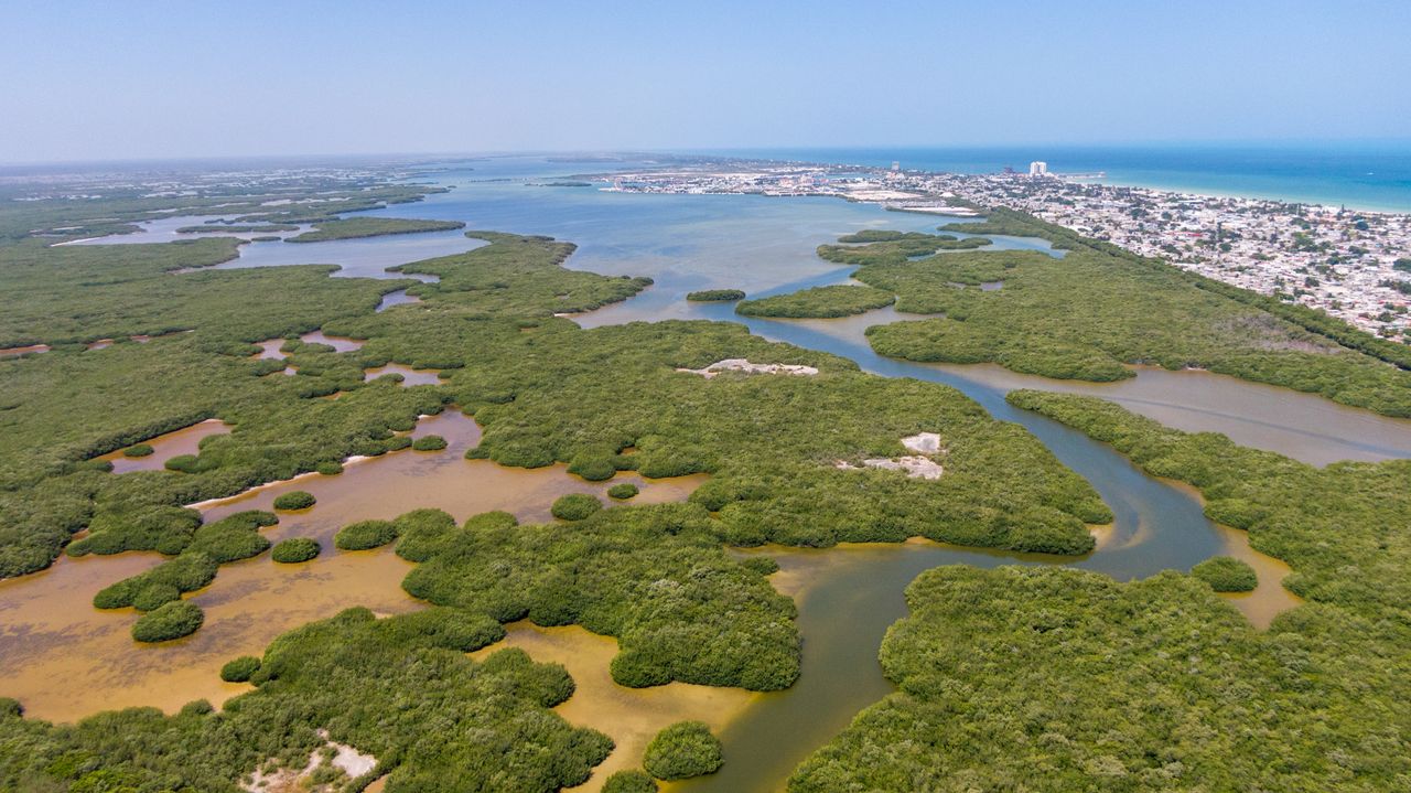 Vue aérienne de mangrove dans le Yucatán — Sian Ka'an
